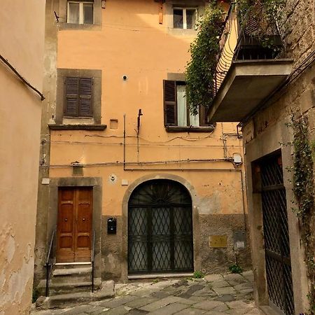 Viterbo Art Apartments Bagian luar foto
